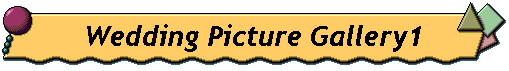 Wedding Picture Gallery1