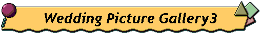 Wedding Picture Gallery3